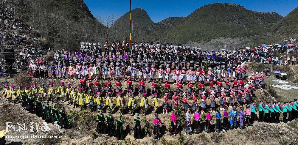 DJI_0931