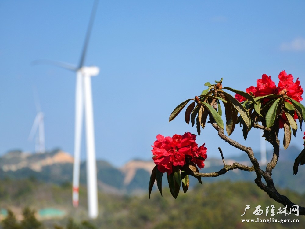 斗烘坡风景秀丽（罗成凯 摄）
