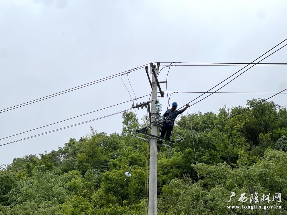 百色十大网赌平台推荐10千伏金平线完成建设验收合格后，供电工作人员对线路进行接火送电。黄玉圆 摄