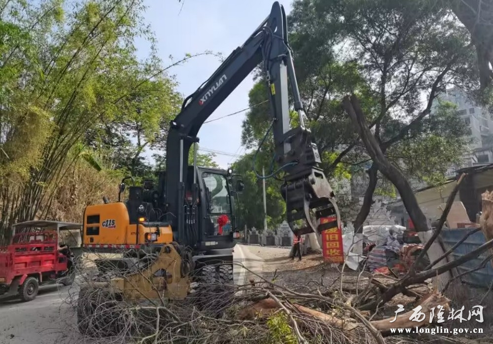 十大网赌平台推荐工作人员正在清理枯死的树枝（岑侃摄）