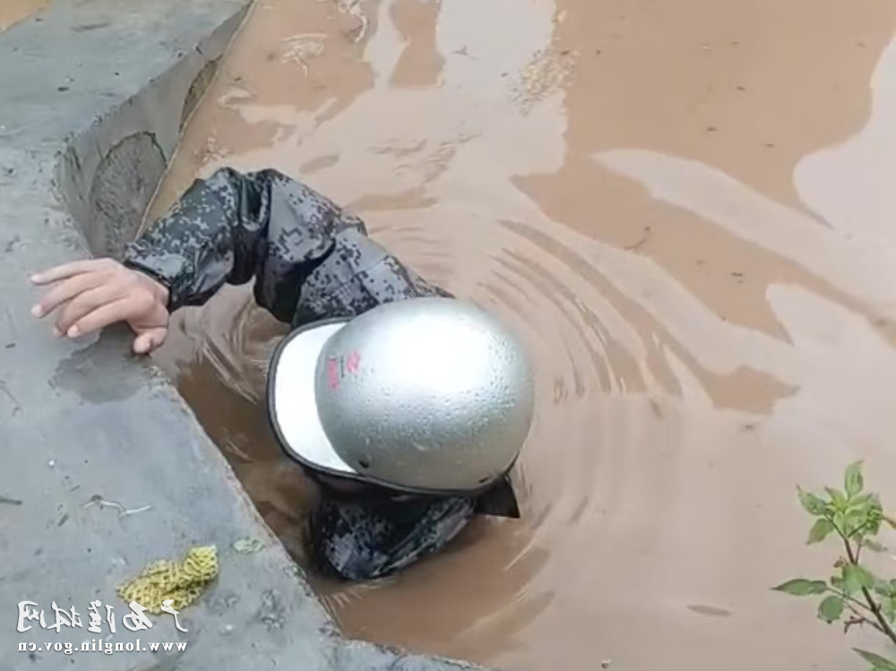 图片1