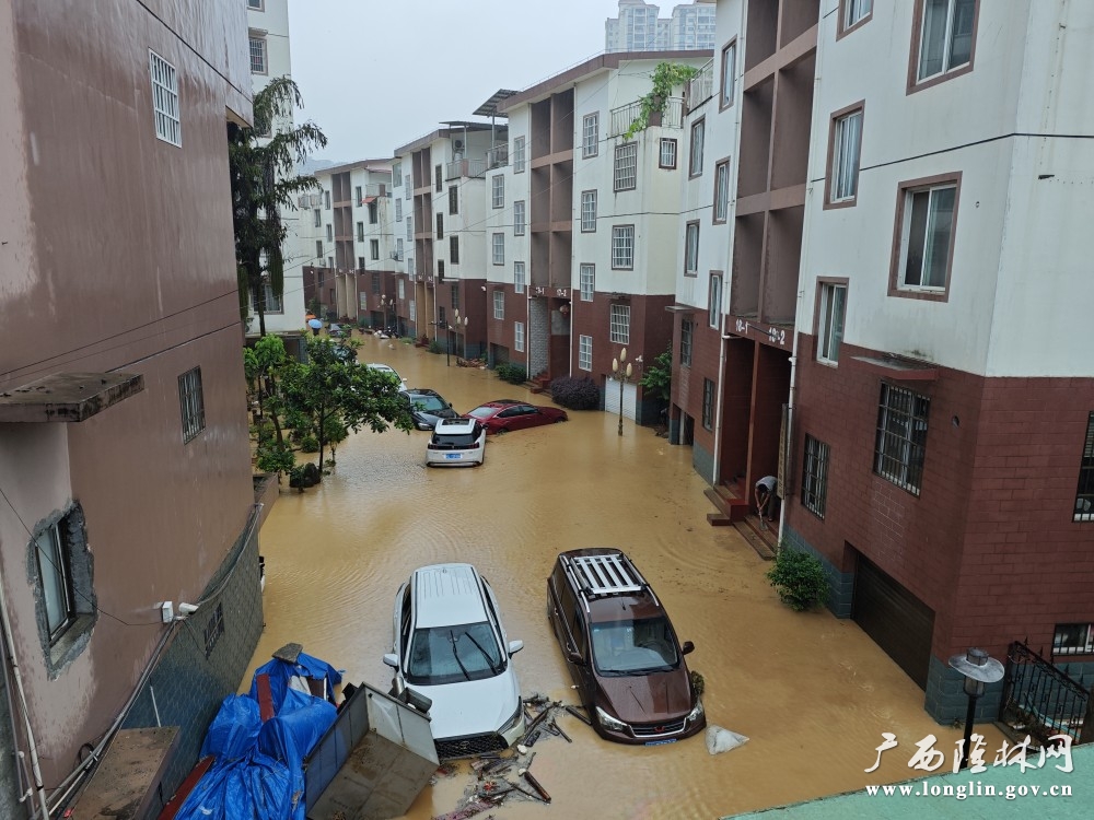 被水倒灌的水岸华庭小区