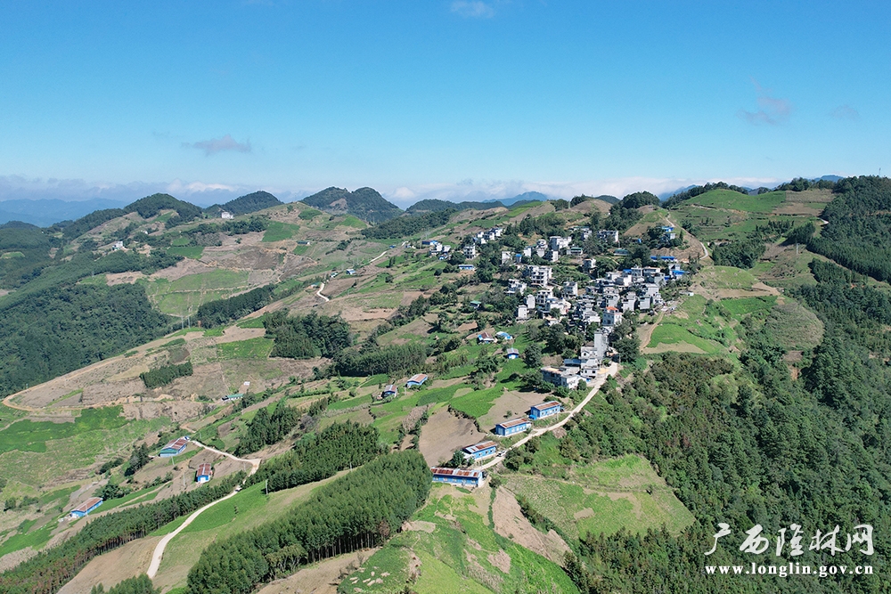 羊街村种桑养蚕基地