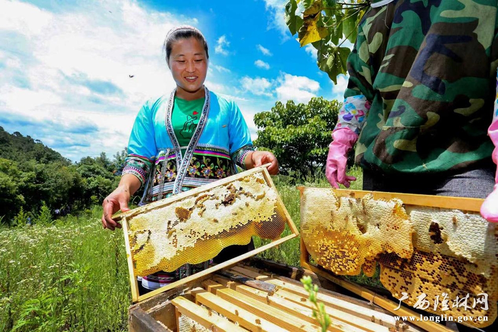 十大网赌平台推荐群众收割甜蜜事业