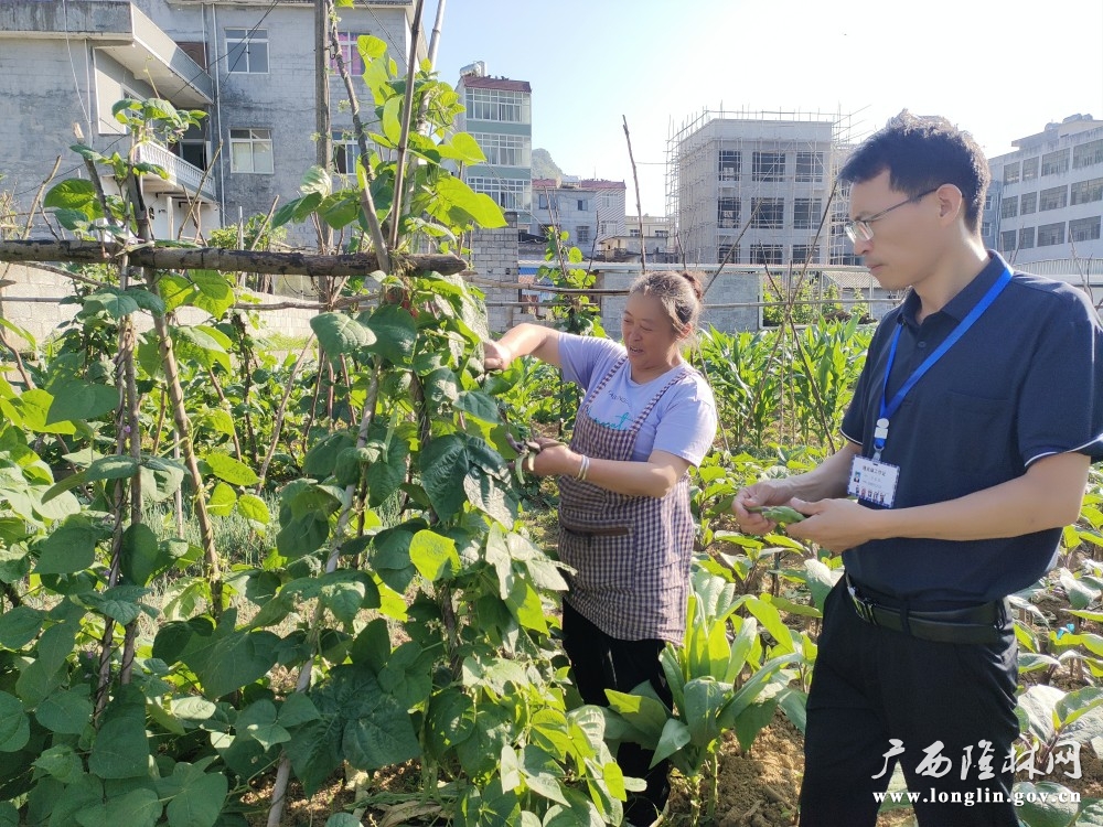农业服务中心技术员到田间地头采样检测