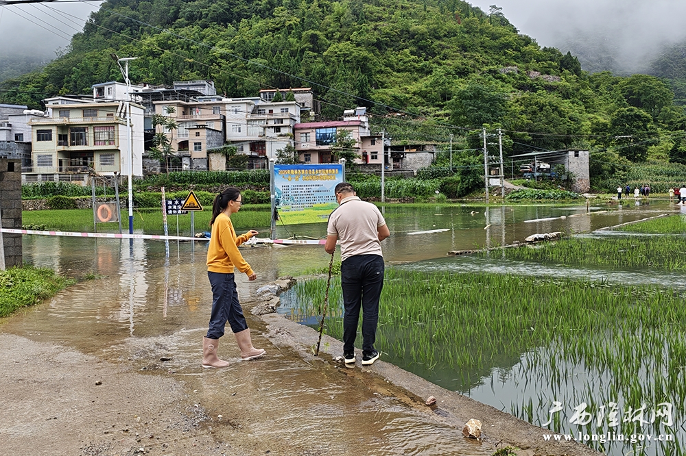 工作人员实地巡查村内积水道路，布设警戒线并劝导群众请勿涉水通行