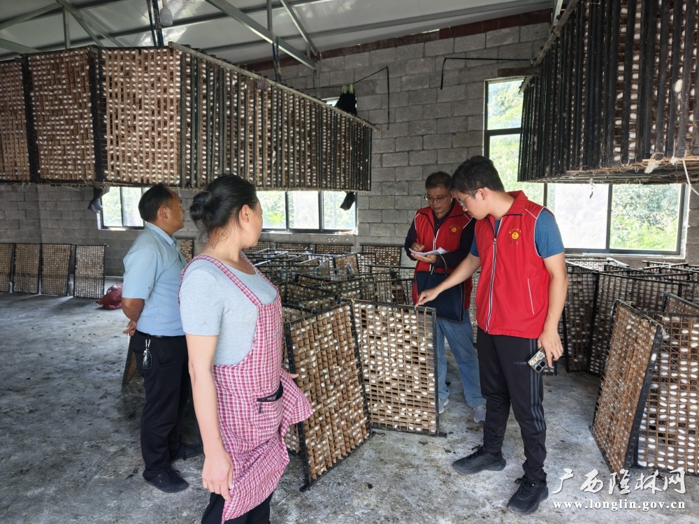 验收桑蚕发展情况 验收桑蚕发展情况