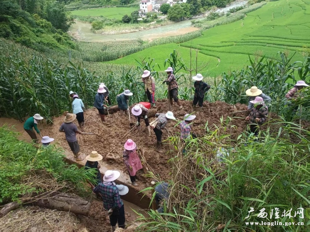 群众清淤现场图片