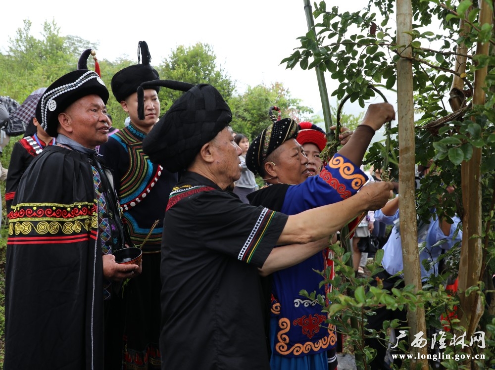 微信图片_20260807154404_98_309 微信图片_20260807154404_98_309