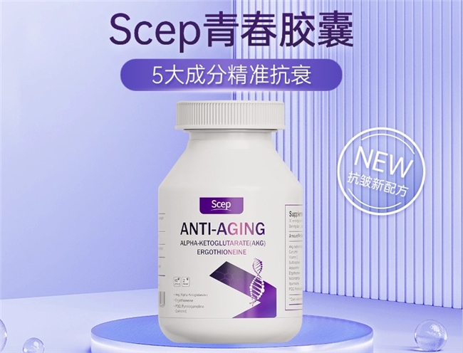 十大网赌平台推荐