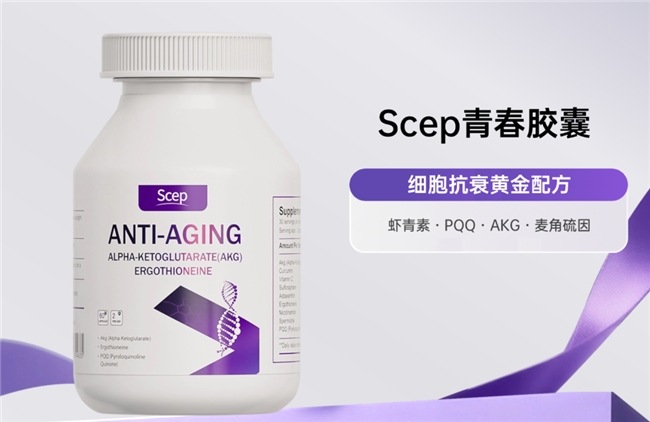 十大网赌平台推荐