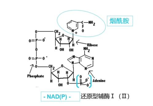 十大网赌平台推荐