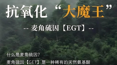 十大网赌平台推荐