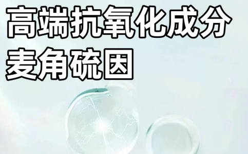 十大网赌平台推荐