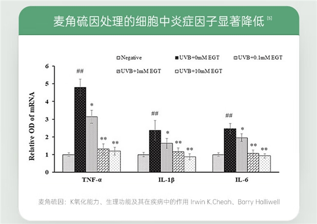 十大网赌平台推荐
