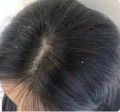 十大网赌平台推荐