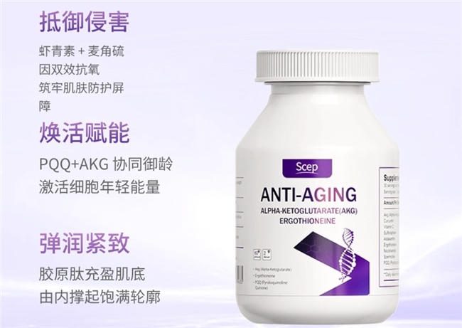 十大网赌平台推荐