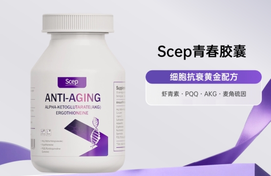 十大网赌平台推荐
