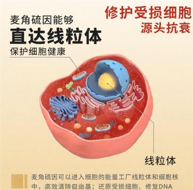 十大网赌平台推荐