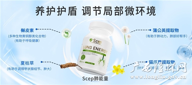 十大网赌平台推荐