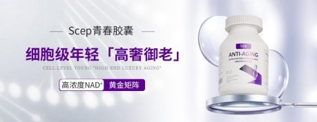 十大网赌平台推荐