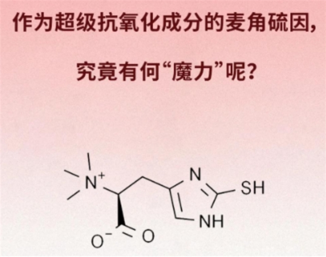 十大网赌平台推荐