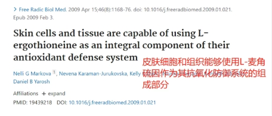 十大网赌平台推荐