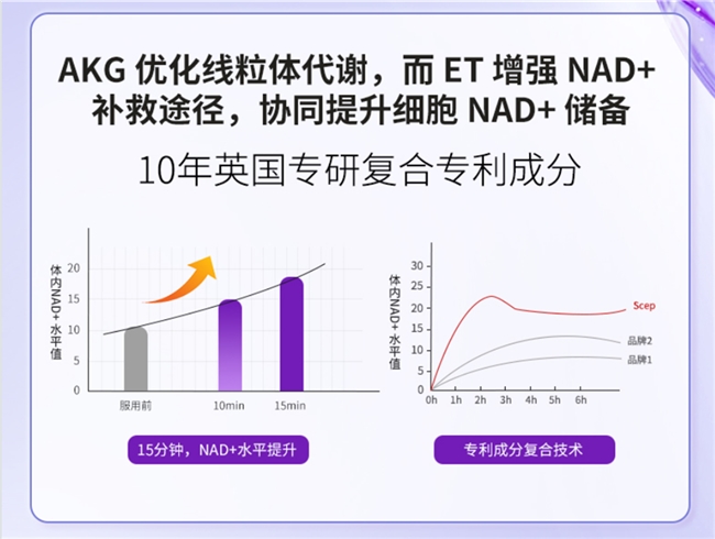 十大网赌平台推荐