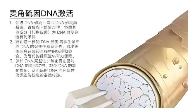 十大网赌平台推荐
