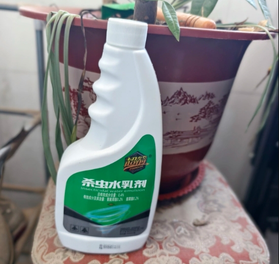 十大网赌平台推荐