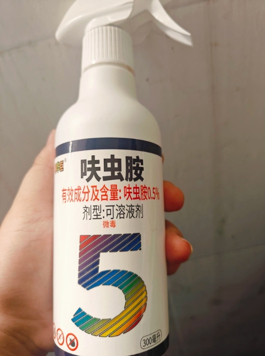 十大网赌平台推荐