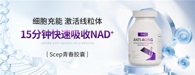 十大网赌平台推荐