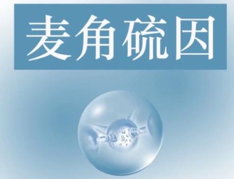 十大网赌平台推荐