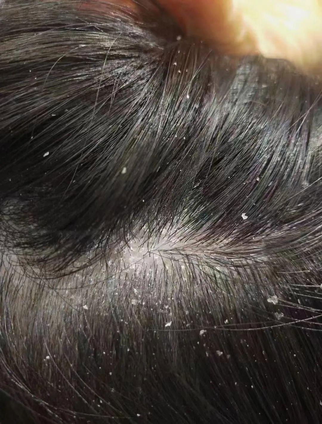 十大网赌平台推荐