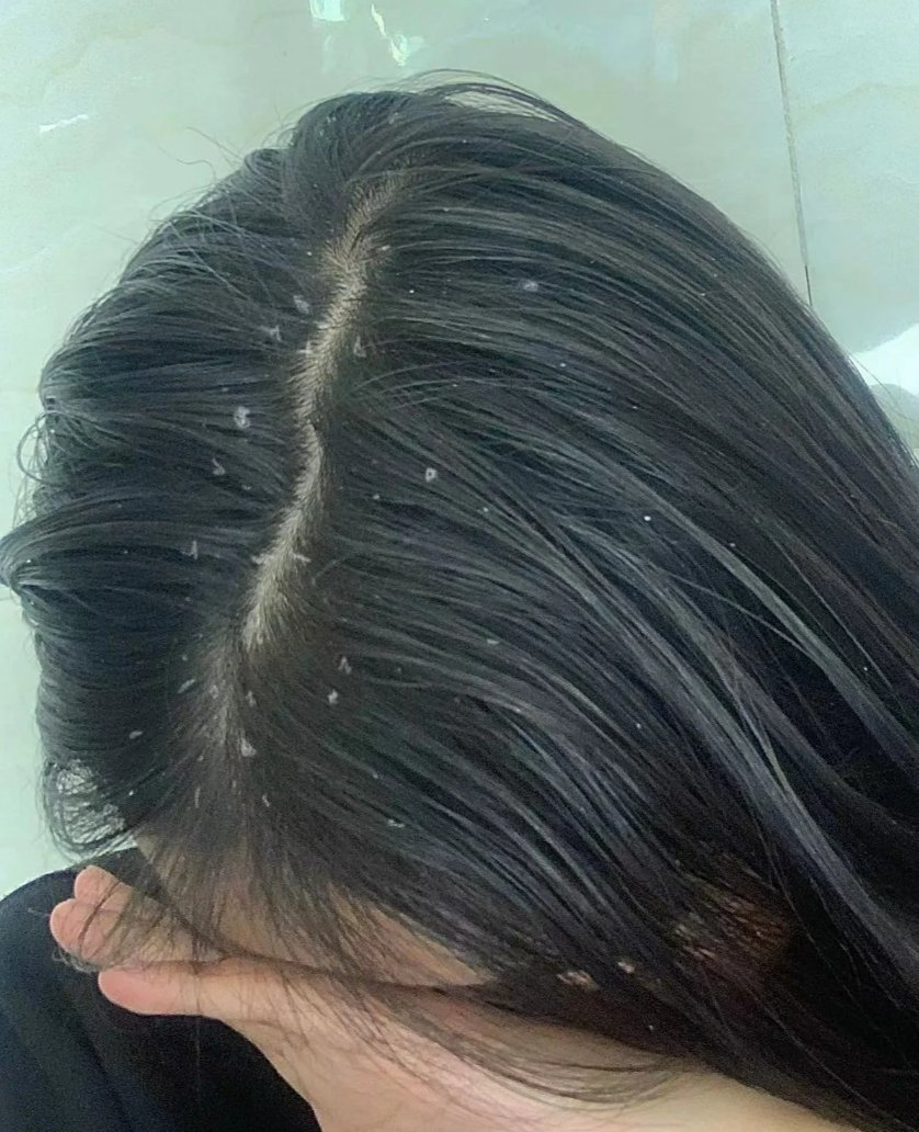 十大网赌平台推荐