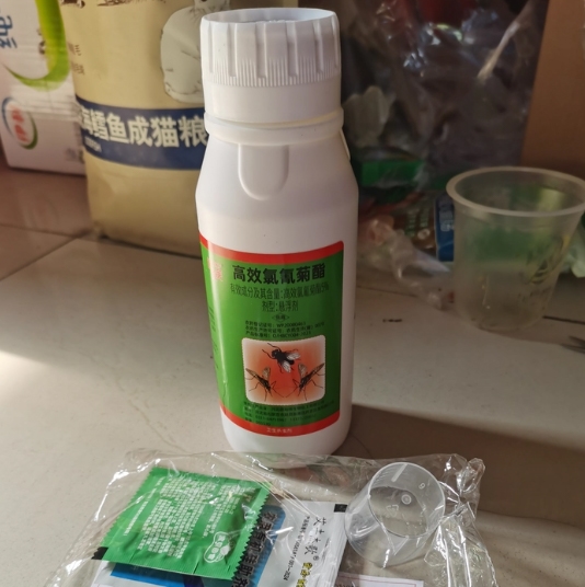十大网赌平台推荐