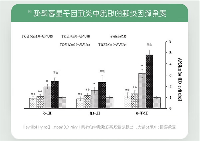 十大网赌平台推荐