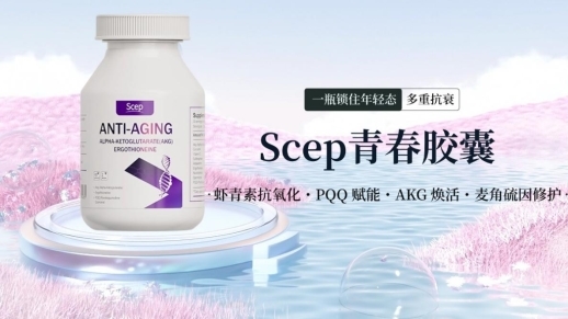 十大网赌平台推荐