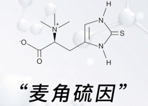 十大网赌平台推荐