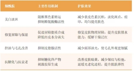 十大网赌平台推荐