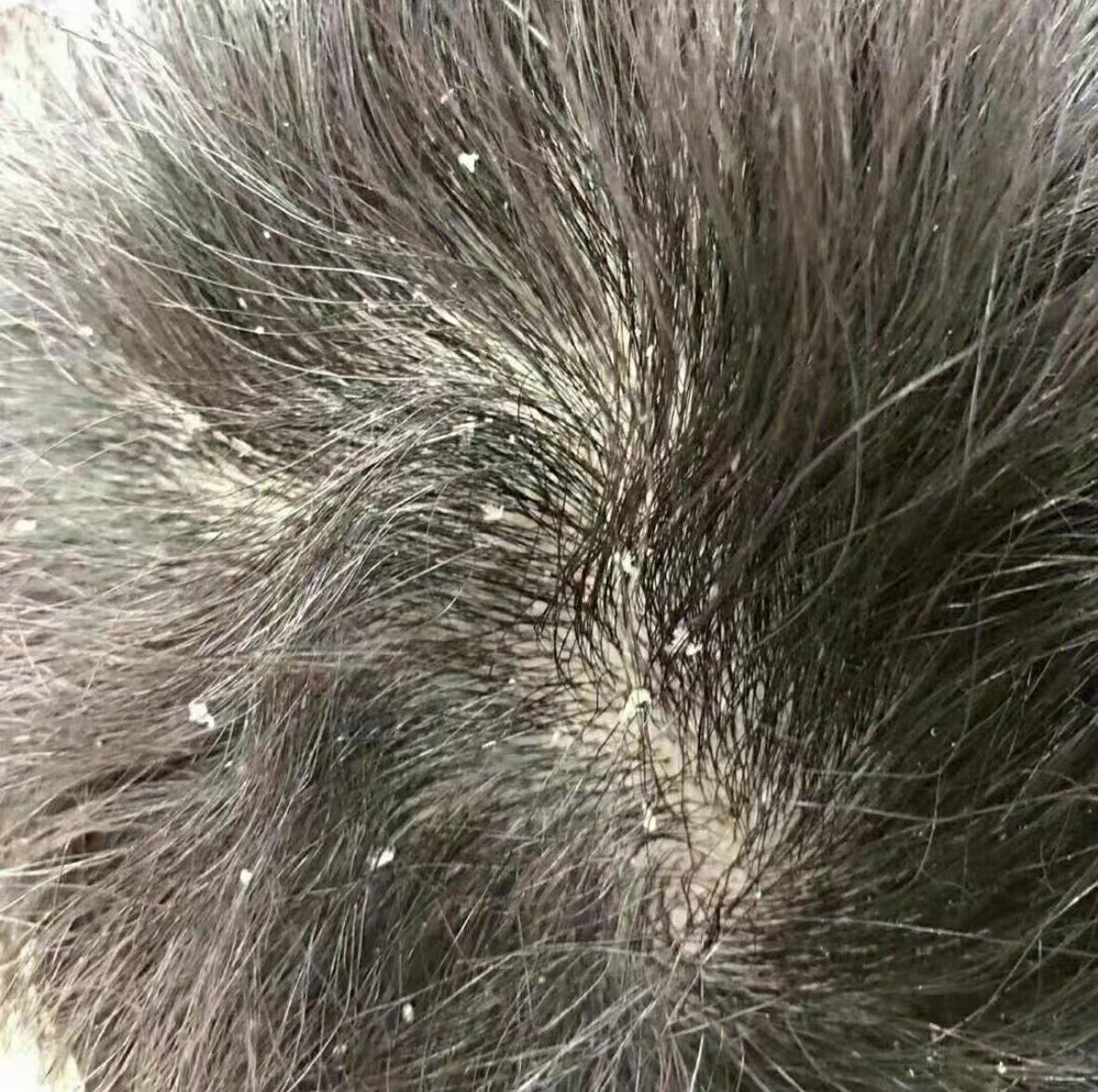 十大网赌平台推荐
