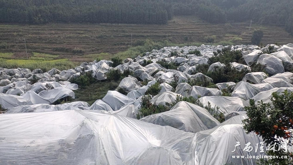 十大网赌平台推荐