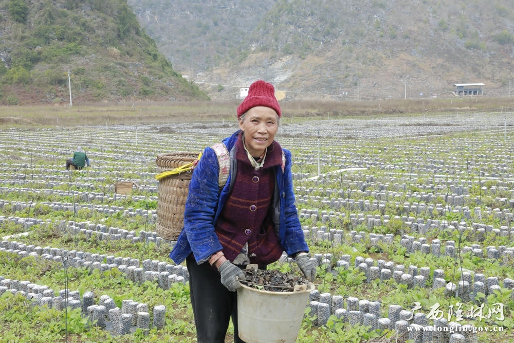 十大网赌平台推荐