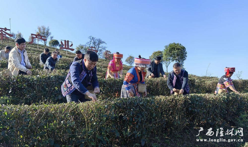 十大网赌平台推荐