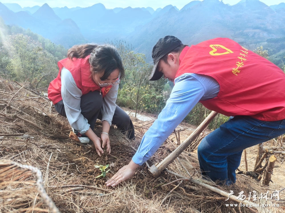 十大网赌平台推荐