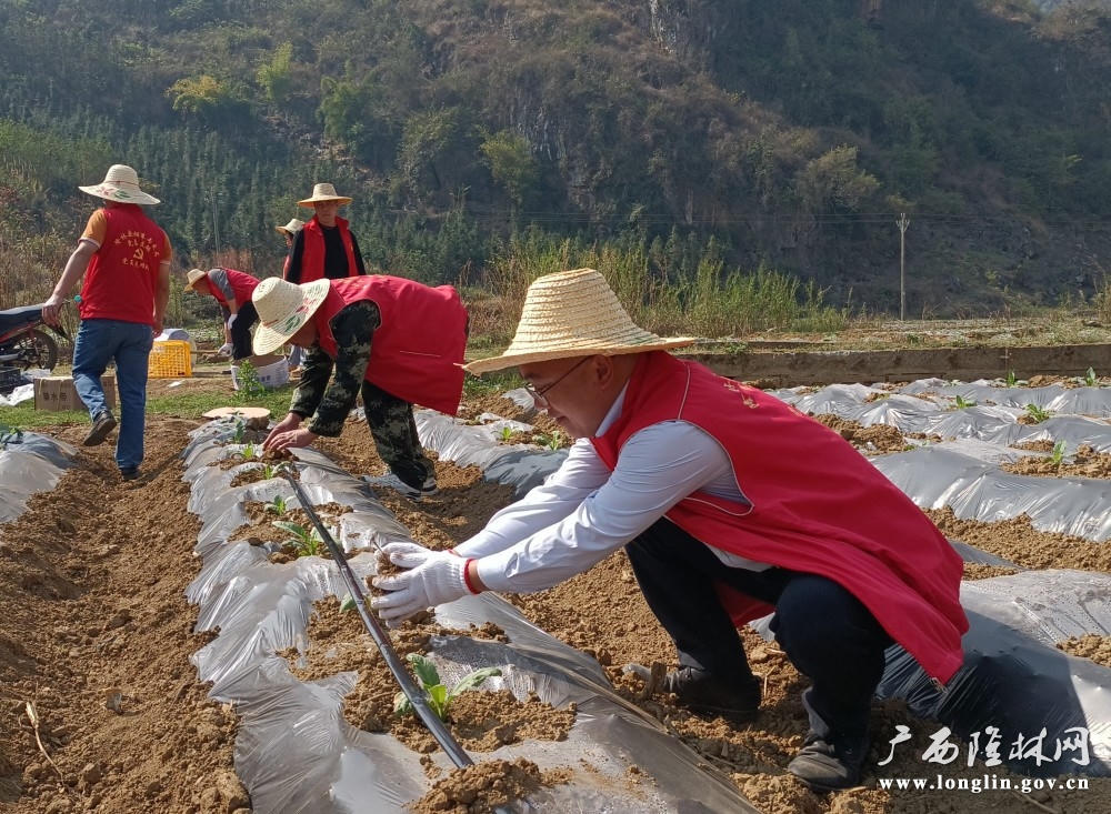 十大网赌平台推荐
