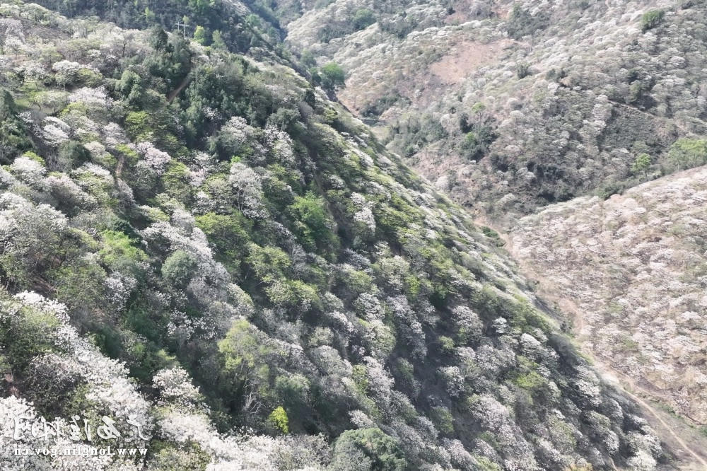 十大网赌平台推荐