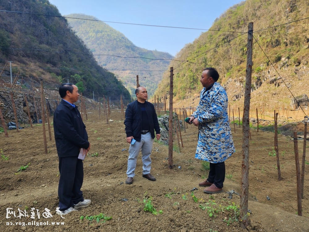 十大网赌平台推荐