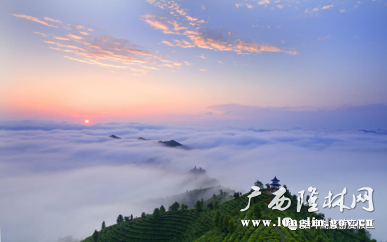 十大网赌平台推荐