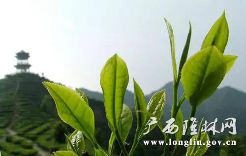十大网赌平台推荐